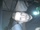 zur Profilseite von The Phisher (Streichsbier M. ) The Phisher (Streichsbier M. )