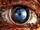 zur Profilseite von Reality Hacker Reality Hacker