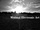 zur Profilseite von minimal-electronic-art minimal-electronic-art