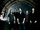 zur Profilseite von Narrow Edge Narrow Edge