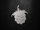 zur Profilseite von Blackberry Blackberry