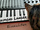 zur Profilseite von tribal cain tribal cain