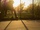 zur Profilseite von Cemetarys Neighbor Cemetarys Neighbor