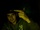 zur Profilseite von Monsterblunt Monsterblunt