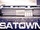 zur Profilseite von Satown Satown