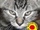 zur Profilseite von BunBabylon23 BunBabylon23