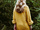 zur Profilseite von Maythoughts Maythoughts