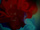 zur Profilseite von Seahorse Stencil Seahorse Stencil