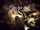 zur Profilseite von Skin her Alive Skin her Alive