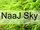 zur Profilseite von NaaJ Sky NaaJ Sky