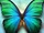 zur Profilseite von Bee.Jay Bee.Jay