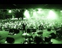 zur Profilseite von The Herbpirates The Herbpirates
