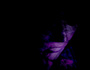 zur Profilseite von VIRTUAL VOODOO VIRTUAL VOODOO