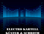 zur Profilseite von Electro Kartell Electro Kartell