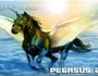 zur Profilseite von pegasus26 pegasus26