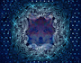 zur Profilseite von Fox and Wolf Fox and Wolf
