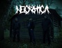 zur Profilseite von NECROTICA NECROTICA