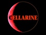 zur Profilseite von Cellarine Cellarine