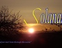 zur Profilseite von Solanas Solanas