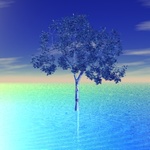 Liquid Tree - Revelations