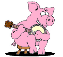 ACM - The Next Pig