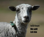 restluft - Wo will ich hin