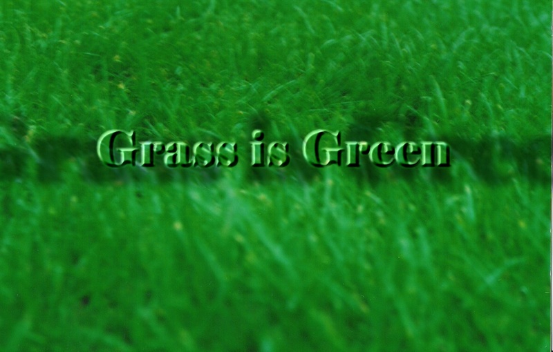 grass is green - Take me Away