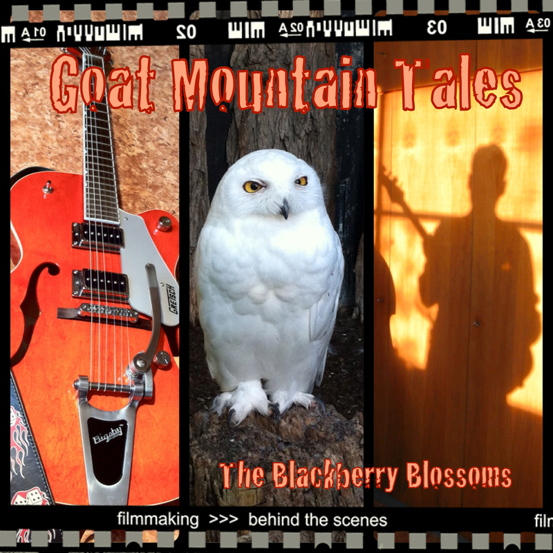 Blackberry Blossoms - Hospital of Blues