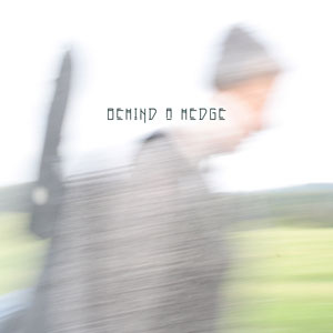 Rolander - Behind A Hedge