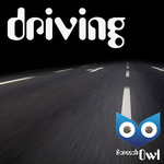 ScreechOwl - Driving
