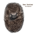 Bea Bacher - Mülldeponie