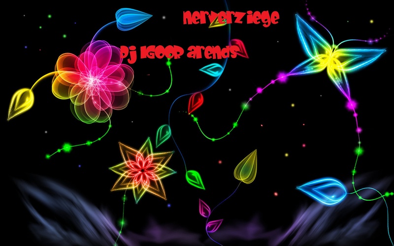 Dj igoor arends -nizzer-