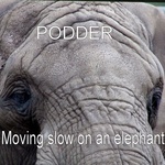 podder - Moving slowly on an elephant