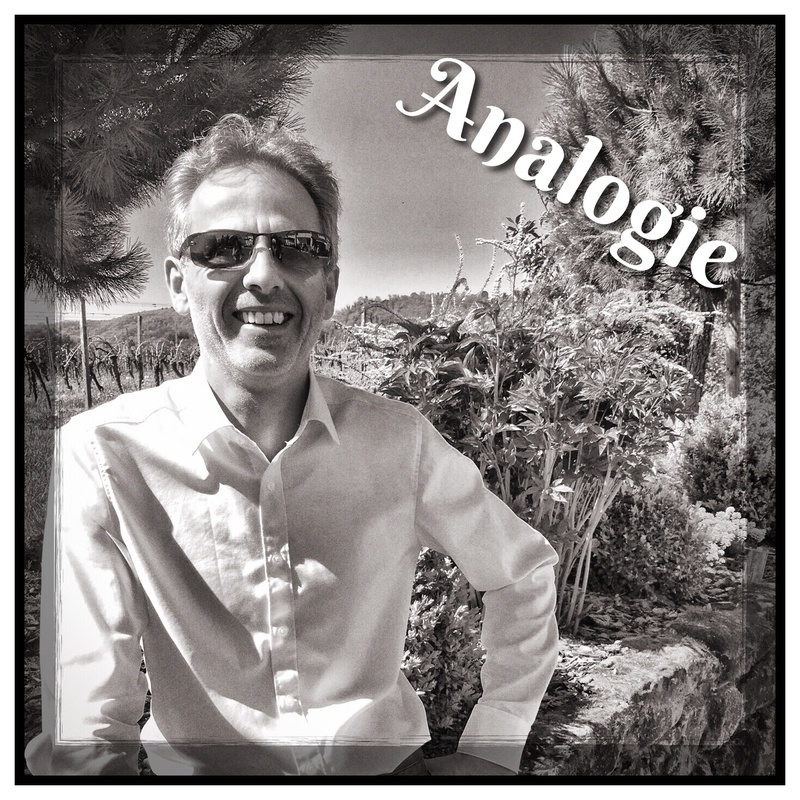 RB-Moogzart - Analogie VIII