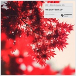 EDX - We Can't Give Up (Bilbo Schweizer Mix)
