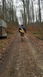 Der Liederfreund - Wichtel im Wald - Projekt " Wichtel " Beitrag !