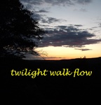 ELKAWE - twilight walk flow