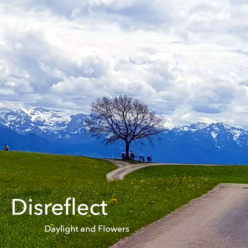 Disreflect - Hidden