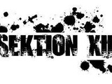 sektion XIII