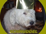 Schmuddel