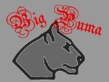 Big Puma