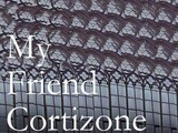 My Friend Cortizone