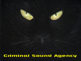 Criminal Sound Agency