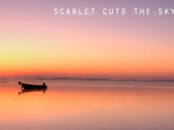 scarlet cuts the sky