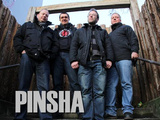 Pinsha