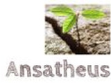 Ansatheus