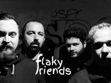 Flaky Friends