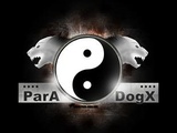 ParA-DogX