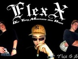 FlexX(StbFamily)