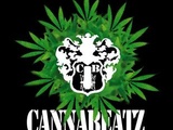 Cannabeatz Produktion